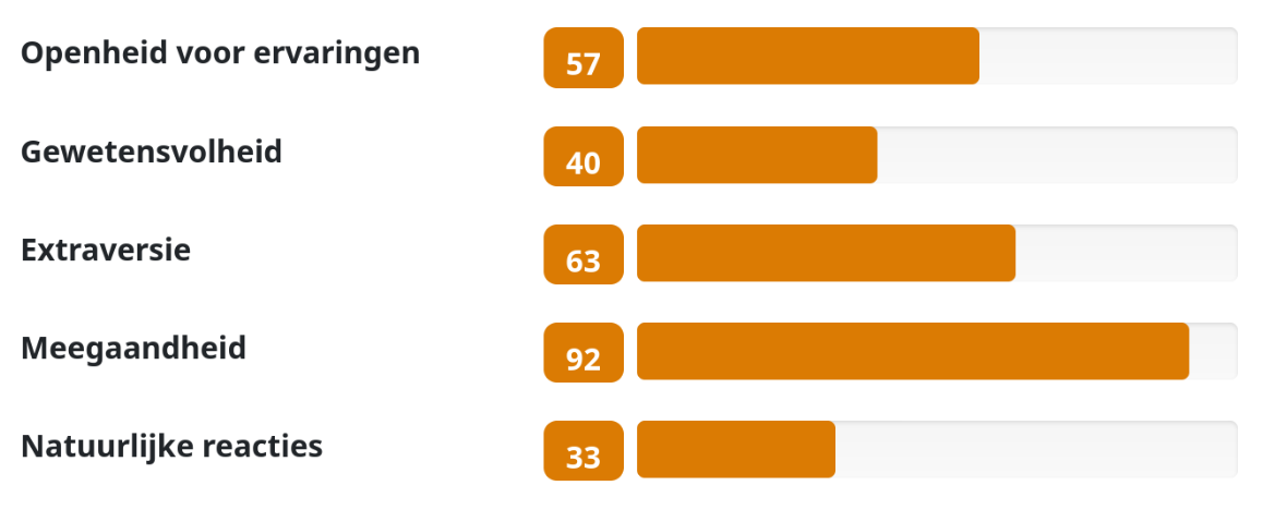 Big Five test resultaten